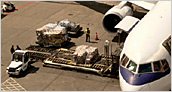 A cargo airplaine loading cargo