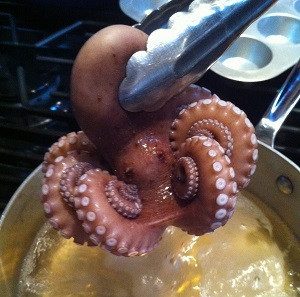 octo boiled photo grande 300x297 - Artisinal Foods
