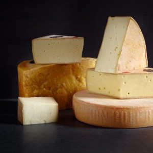 Selection of beautiful swiss cheeses 