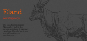 Screen Shot 2017 06 07 at 1.00.02 PM 300x141 - The Venison Company