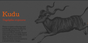Screen Shot 2017 06 07 at 12.59.05 PM 300x148 - The Venison Company