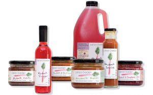 Lanas Garden Image 1 300x186 - Lanas Garden