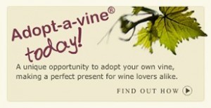 adopt 02 wffcqtvobeik 300x154 - Gisborne Peak Winery