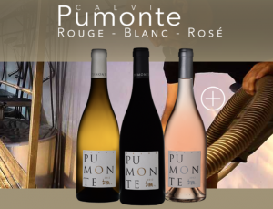 Screen Shot 2016 06 02 at 10.23.12 AM 300x229 - Domaine d'Alzipratu