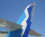 Pelican Airline Logo with tail in shape of a pelican