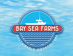 Blue Bay