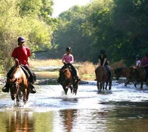 riding tours e1484672897962 640x480 300x267 - Desperado Ranch