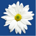 Image of a daily used as josephs corner logo