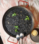 Fideua Recipe